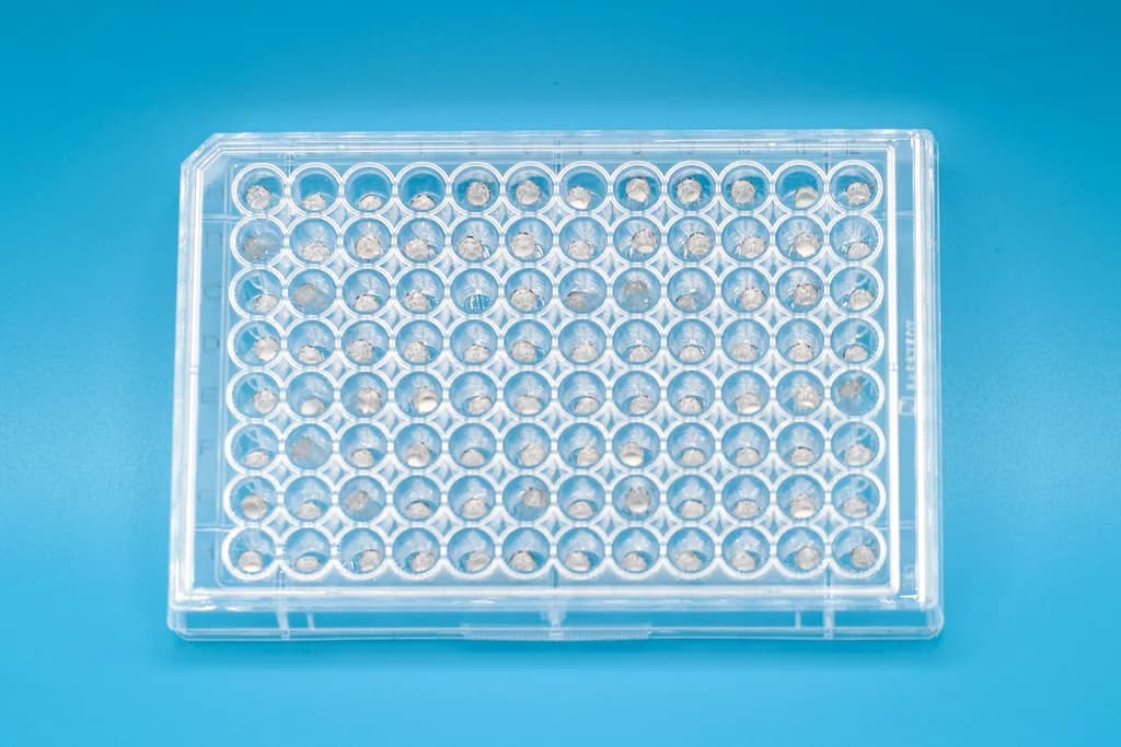 Aluminium Capsules for Solid Samples, 4 x 6 mm, ultra-cleaned